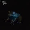 Frog Squish Medium Firmness