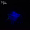 Frog Squish Medium Firmness