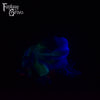 Frog Squish Medium Firmness