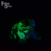 Frog Squish Medium Firmness