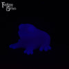 Frog Squish Soft Firmness