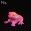 Frog Squish Medium Firmness