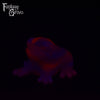Frog Squish Medium Firmness