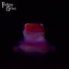 Frog Squish Medium Firmness