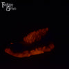 Dryad's Touch 00-31 Soft Firmness
