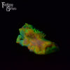 Dryad's Touch 00-30 Soft Firmness