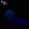WHOOPS! Large Jacobi 00-31 Soft Firmness