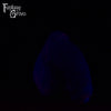 Thorne 00-20 Super Soft Firmness