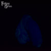 Thorne 00-20 Super Soft Firmness
