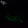 Dryad's Touch 00-50 Medium Firmness
