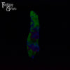 Extra Small Eventide 00-50 Medium Firmness