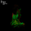 A fantasy sex toy on a black background with the Fantasy Grove logo in the upper left corner