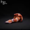 Medium Squid 00-20 Super-Soft Firmness