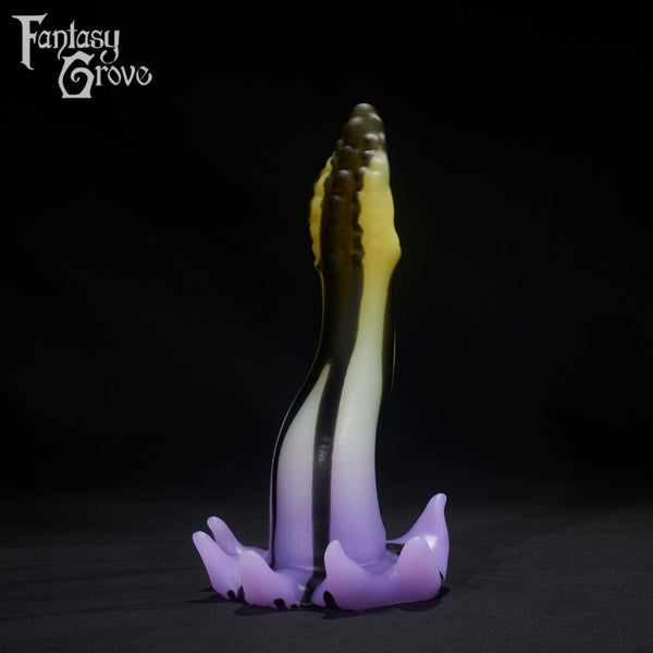 Medium Squid 00-30 Soft Firmness