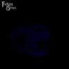 A fantasy sex toys on a black background with Fantasy Grove branding
