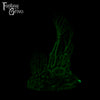 A fantasy sex toy on a black background with the Fantasy Grove logo in the upper left corner
