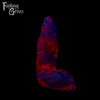 A fantasy sex toy on a black background with the Fantasy Grove logo in the upper left corner