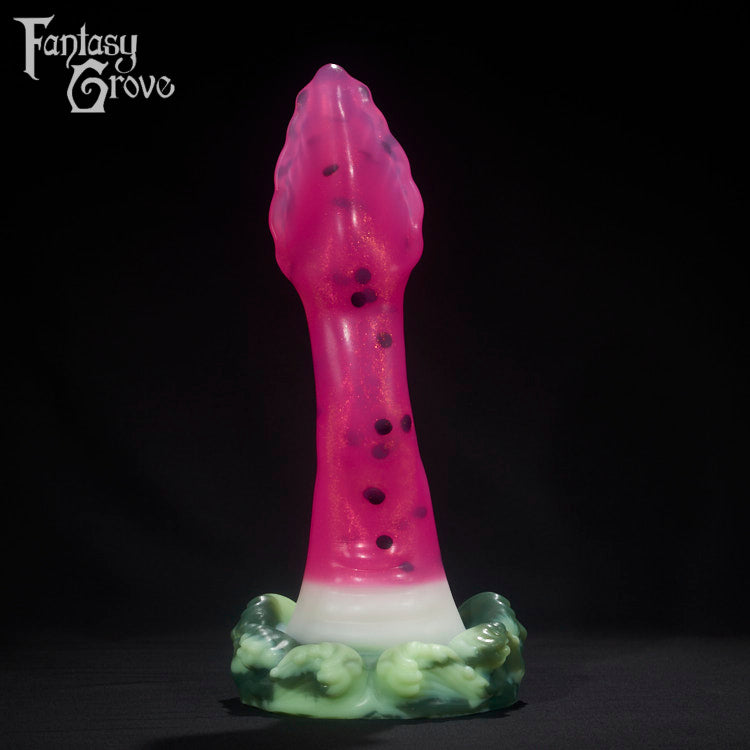 Extra Large Squid Split Firmness