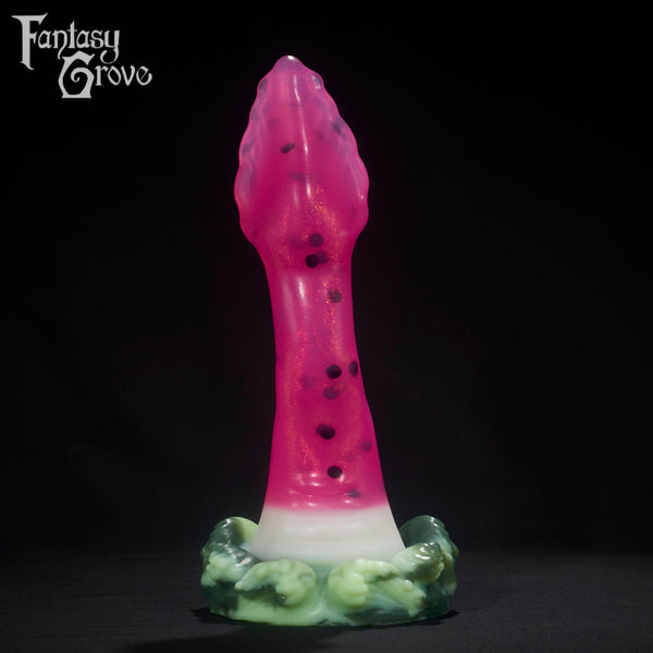 Extra Large Squid Split Firmness