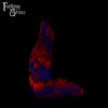 A fantasy sex toy on a black background with the Fantasy Grove logo in the upper left corner