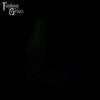 A fantasy sex toys on a black background with Fantasy Grove branding