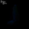A fantasy sex toys on a black background with Fantasy Grove branding