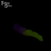 Extra Small Eventide 00-30 Soft Firmness