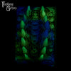 A fantasy sex toy on a black background with the Fantasy Grove logo in the upper left corner