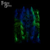 A fantasy sex toy on a black background with the Fantasy Grove logo in the upper left corner