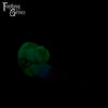 WHOOPS! Small Jacobi Split Firmness
