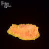 Dryad's Touch 00-50 Medium Firmness
