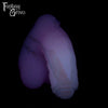 A Fantasy Grove sex toy on a black background with a logo in the upper left corner