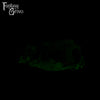A fantasy sex toy on a black background with the Fantasy Grove logo in the upper left corner