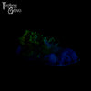 A fantasy sex toy on a black background with the Fantasy Grove logo in the upper left corner