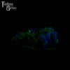 A fantasy sex toy on a black background with the Fantasy Grove logo in the upper left corner