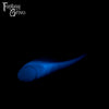 A fantasy sex toy on a black background with the Fantasy Grove logo in the upper left corner