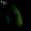 A fantasy sex toy on a black background with the Fantasy Grove logo in the upper left corner