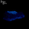 A fantasy sex toy on a black background with the Fantasy Grove logo in the upper left corner