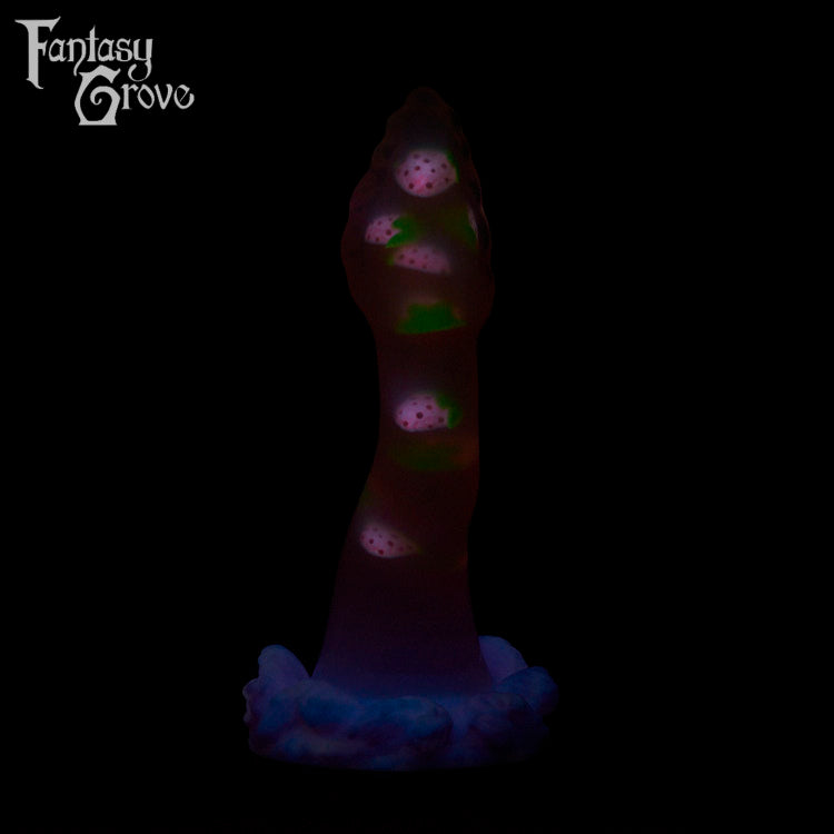 Extra Large Squid Split Firmness