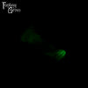 A fantasy sex toy on a black background with the Fantasy Grove logo in the upper left corner