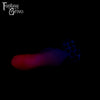 Medium Midnight Hour 00-30 Soft Firmness