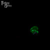 Medium Dryad's Wand Split Firmness