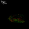 **COMING SOON** WHOOPS! Dryad's Touch 00-50 Medium Firmness